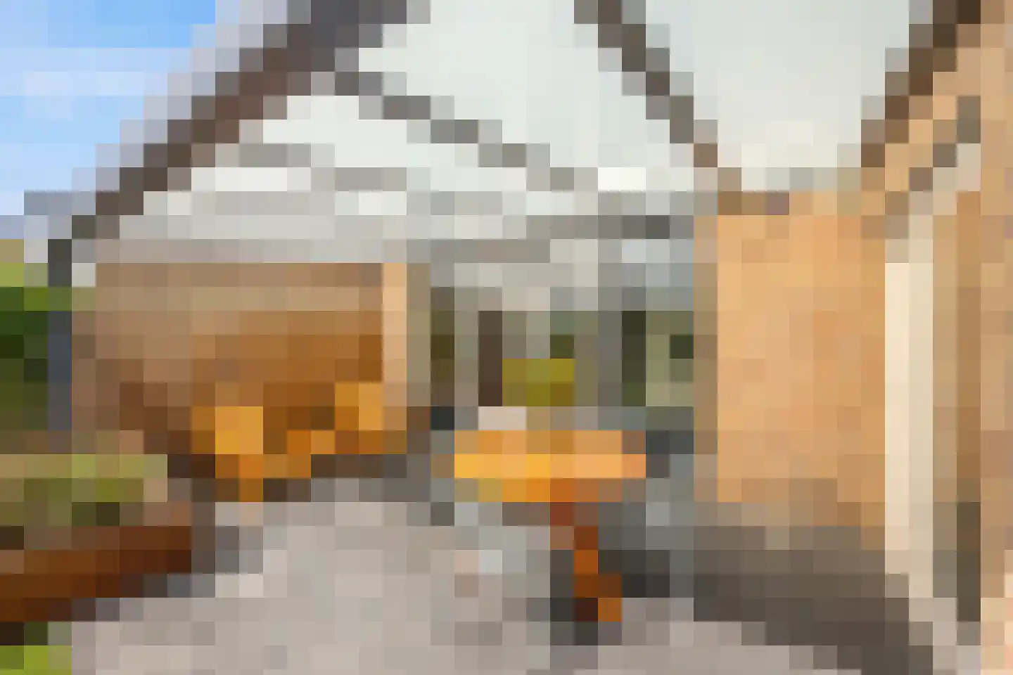 Bruglaan 21 Druten thumbnail 42