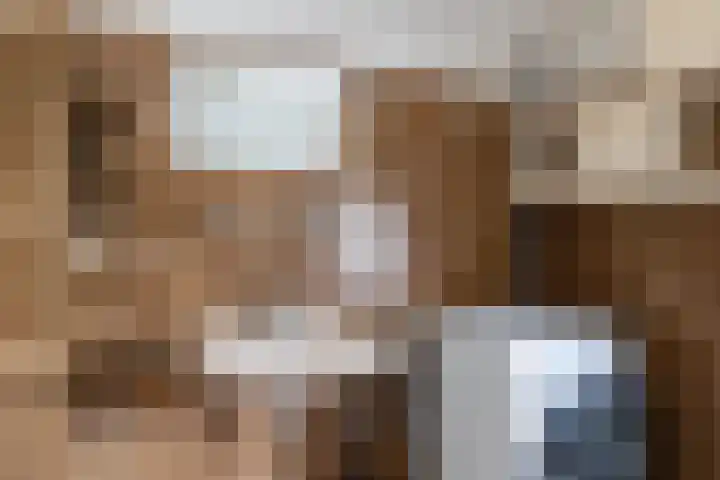 Bruglaan 22 Aadorp thumbnail 18