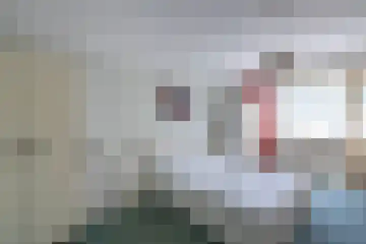 Bruglaan 22 Aadorp thumbnail 19
