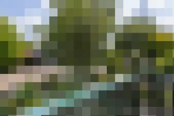 Bruglaan 22 Aadorp thumbnail 21