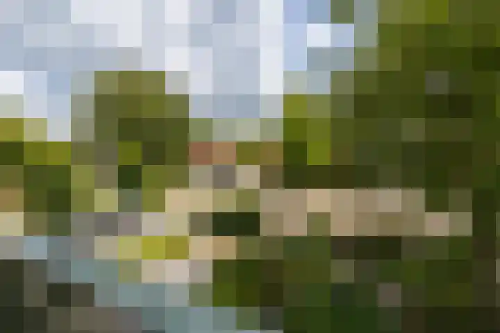 Bruglaan 22 Aadorp thumbnail 22