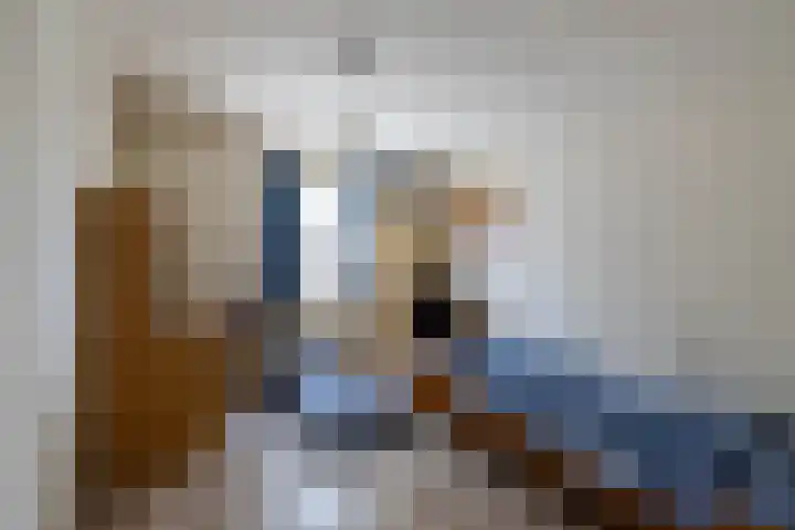 Bruglaan 22 Aadorp thumbnail 24