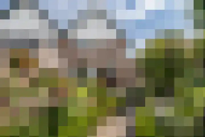 Bruglaan 22 Aadorp thumbnail 27