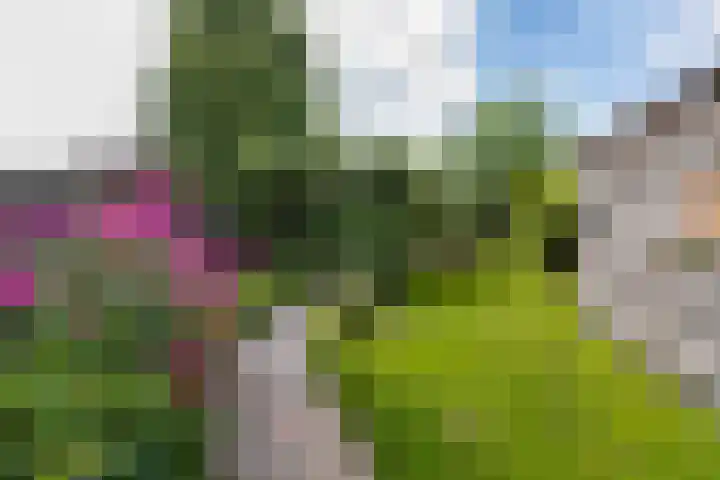 Bruglaan 22 Aadorp thumbnail 28