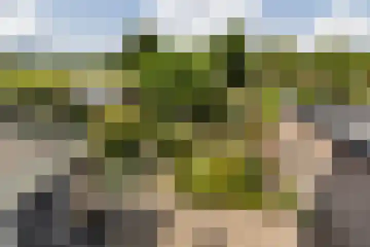 Bruglaan 22 Aadorp thumbnail 29