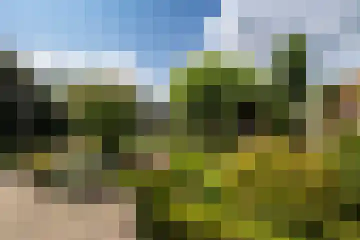 Bruglaan 22 Aadorp thumbnail 30