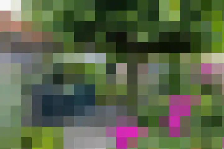 Bruglaan 22 Aadorp thumbnail 31