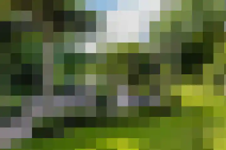 Bruglaan 22 Aadorp thumbnail 34