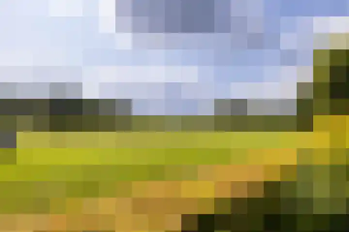 Bruglaan 22 Aadorp thumbnail 35