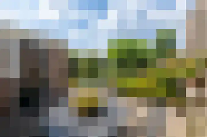 Bruglaan 22 Aadorp thumbnail 38