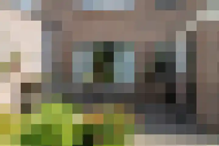 Bruglaan 22 Aadorp thumbnail 39
