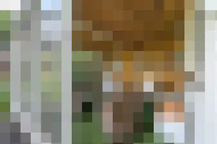 Bruglaan 22 Aadorp thumbnail 40