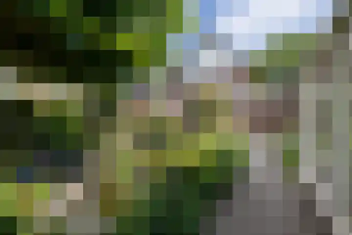 Bruglaan 22 Aadorp thumbnail 41