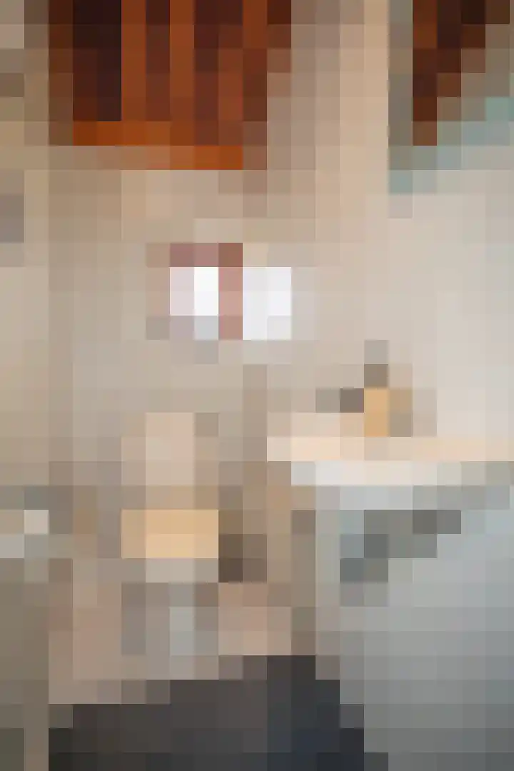 Bruglaan 3 Aadorp thumbnail 15