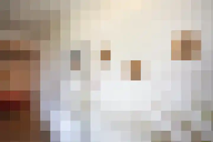 Bruglaan 3 Aadorp thumbnail 17