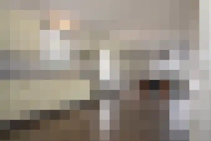 Bruglaan 3 Aadorp thumbnail 30