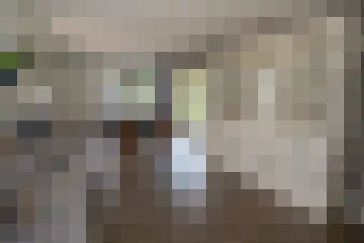 Bruglaan 3 Aadorp thumbnail 31
