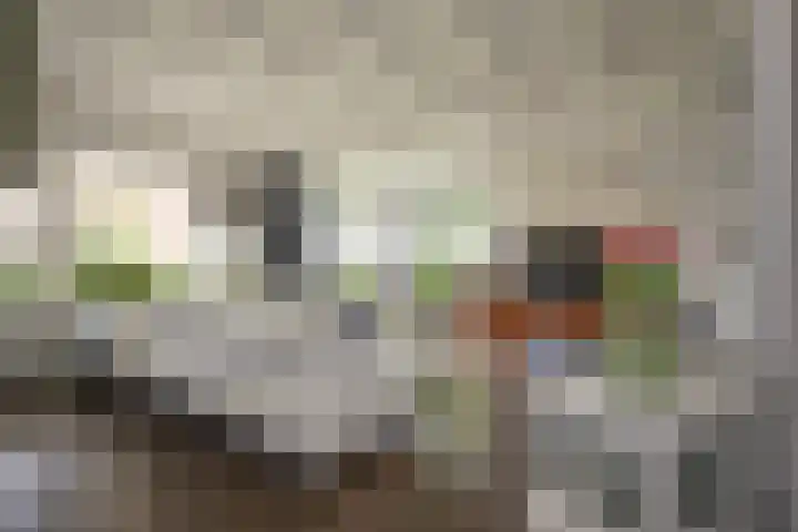Bruglaan 3 Aadorp thumbnail 39