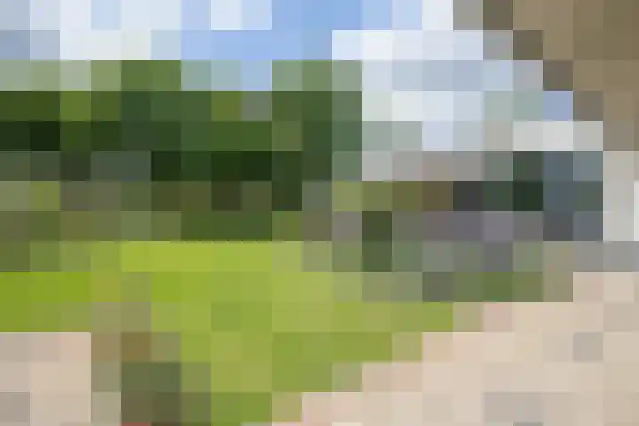 Bruglaan 3 Aadorp thumbnail 4