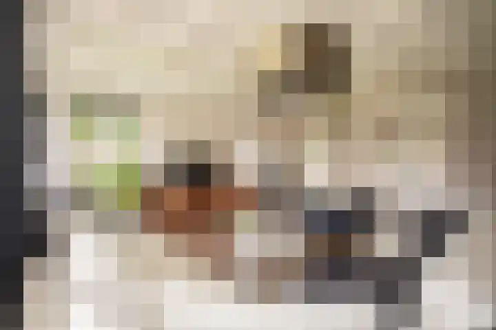 Bruglaan 3 Aadorp thumbnail 40