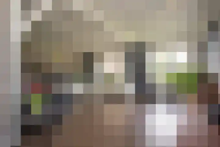 Bruglaan 3 Aadorp thumbnail 41