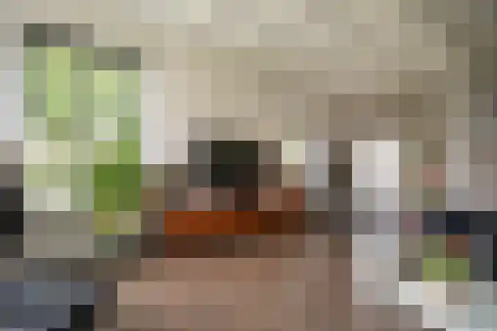 Bruglaan 3 Aadorp thumbnail 44