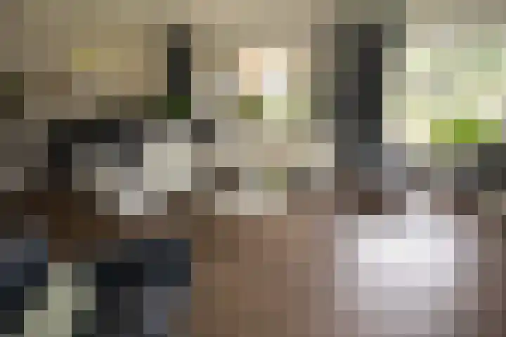 Bruglaan 3 Aadorp thumbnail 45