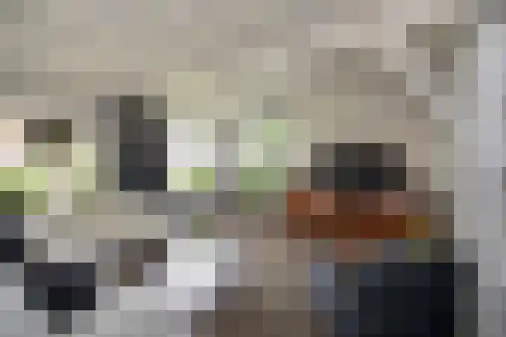 Bruglaan 3 Aadorp thumbnail 46