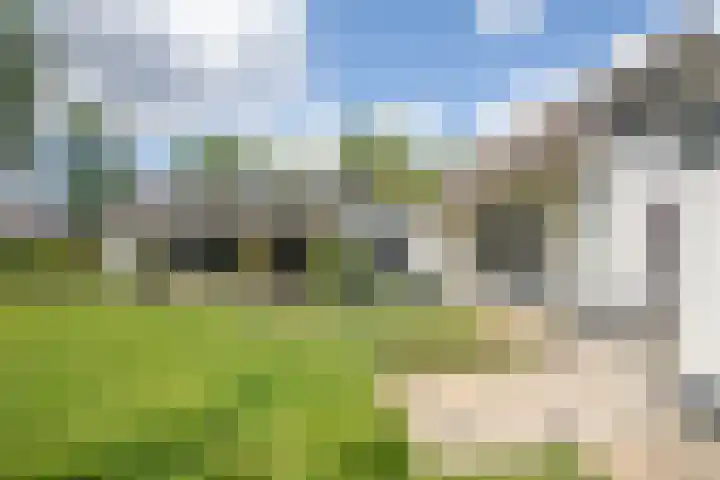 Bruglaan 3 Aadorp thumbnail 5