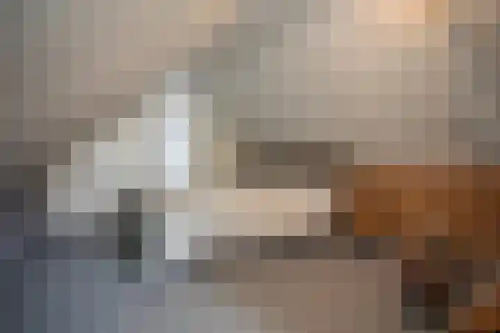 Bruglaan 3 Aadorp thumbnail 59