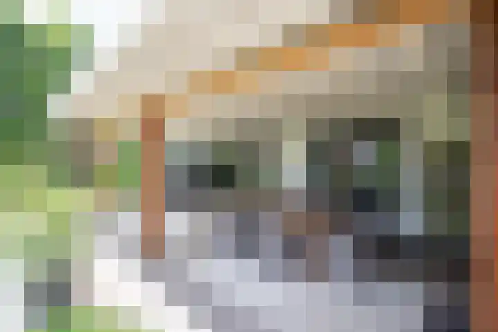Bruglaan 3 Aadorp thumbnail 6