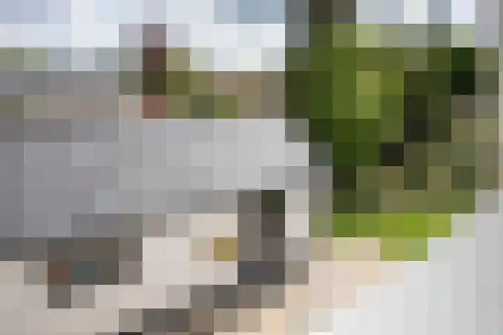 Bruglaan 3 Aadorp thumbnail 61