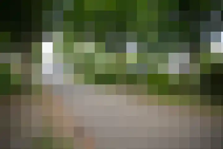 Bruglaan 3 Aadorp thumbnail 64