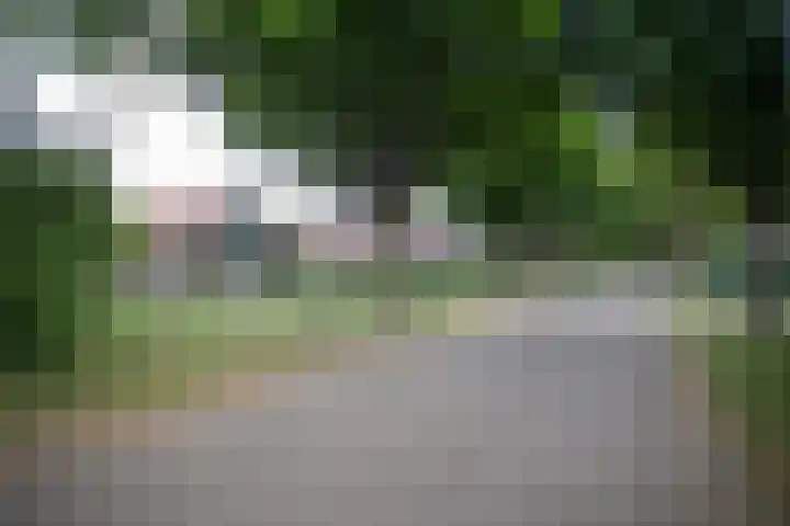 Bruglaan 3 Aadorp thumbnail 65