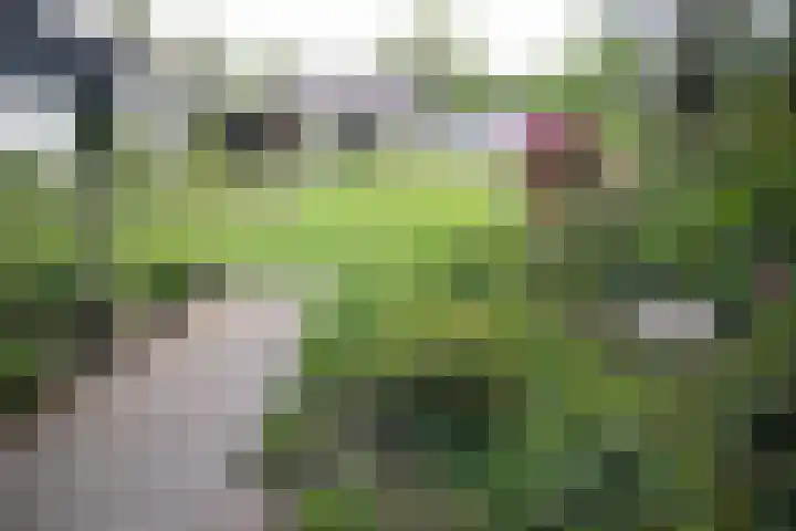 Bruglaan 3 Aadorp thumbnail 66