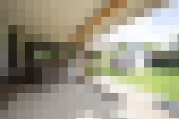 Bruglaan 3 Aadorp thumbnail 7