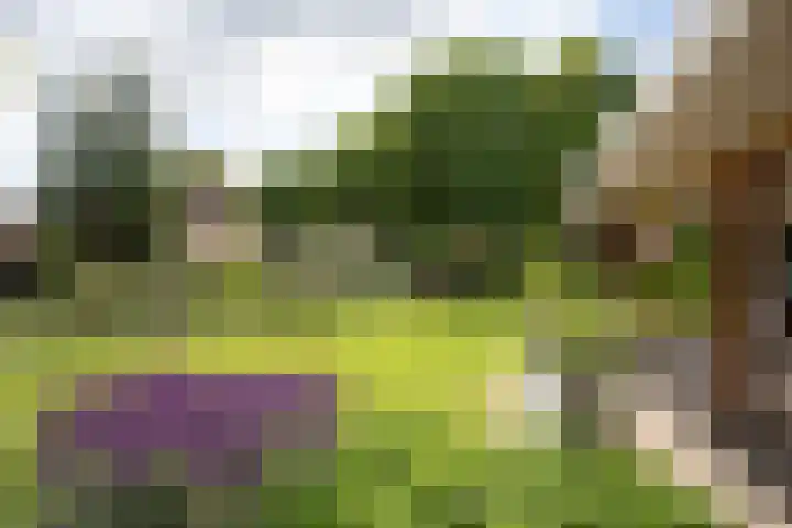 Bruglaan 3 Aadorp thumbnail 73