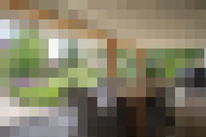 Bruglaan 3 Aadorp thumbnail 74