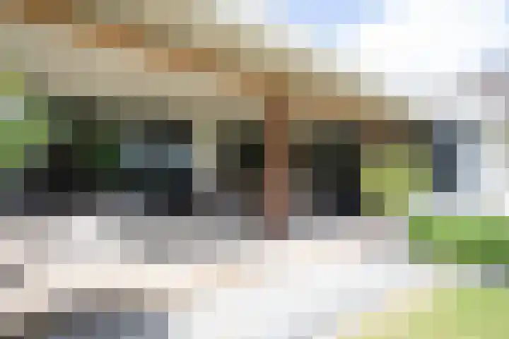 Bruglaan 3 Aadorp thumbnail 75