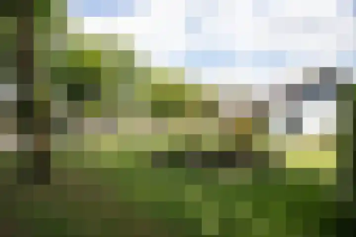 Bruglaan 3 Aadorp thumbnail 77