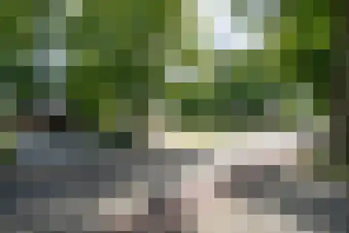 Bruglaan 3 Aadorp thumbnail 79