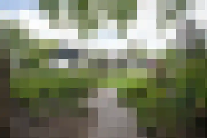 Bruglaan 3 Aadorp thumbnail 8