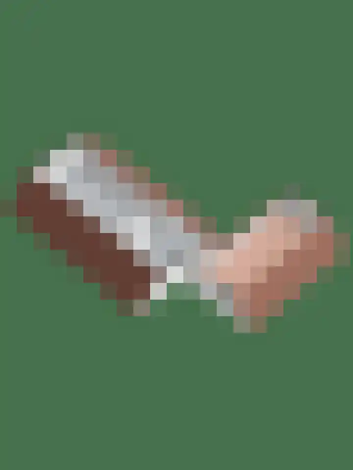 Bruglaan 3 Aadorp thumbnail 88
