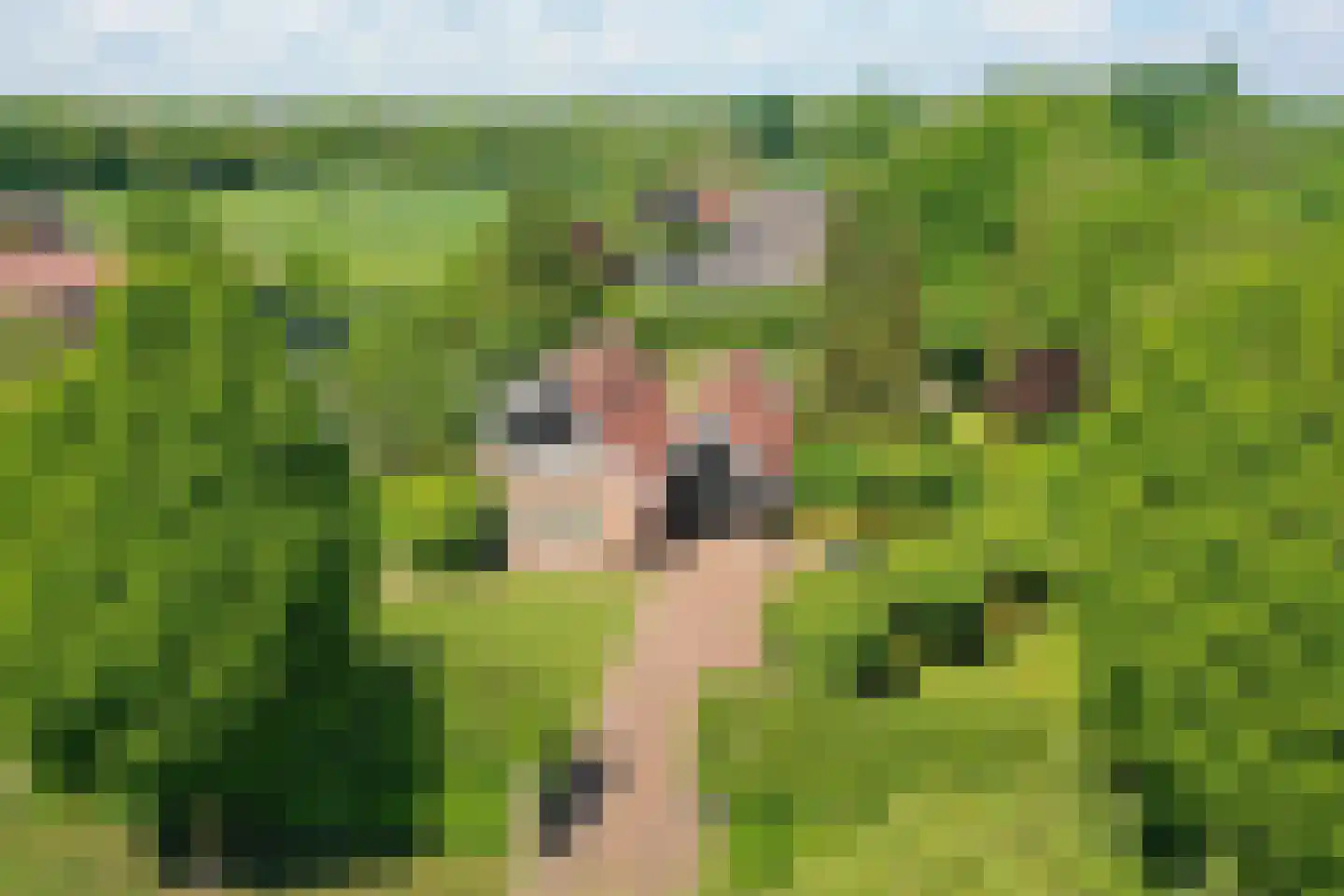 Bruglaan 66 Aadorp thumbnail 27