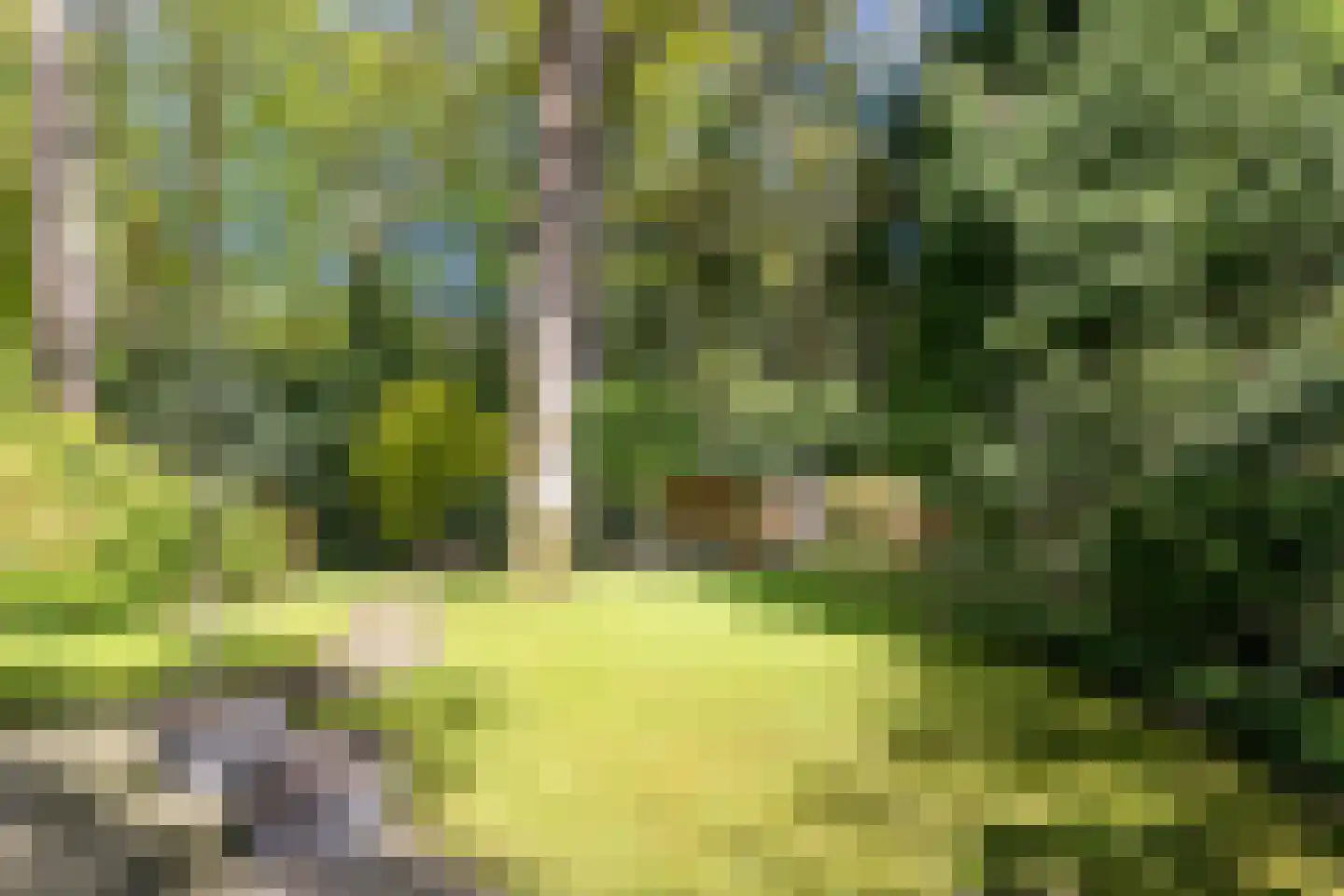 Bruglaan 9 Baarn thumbnail 34