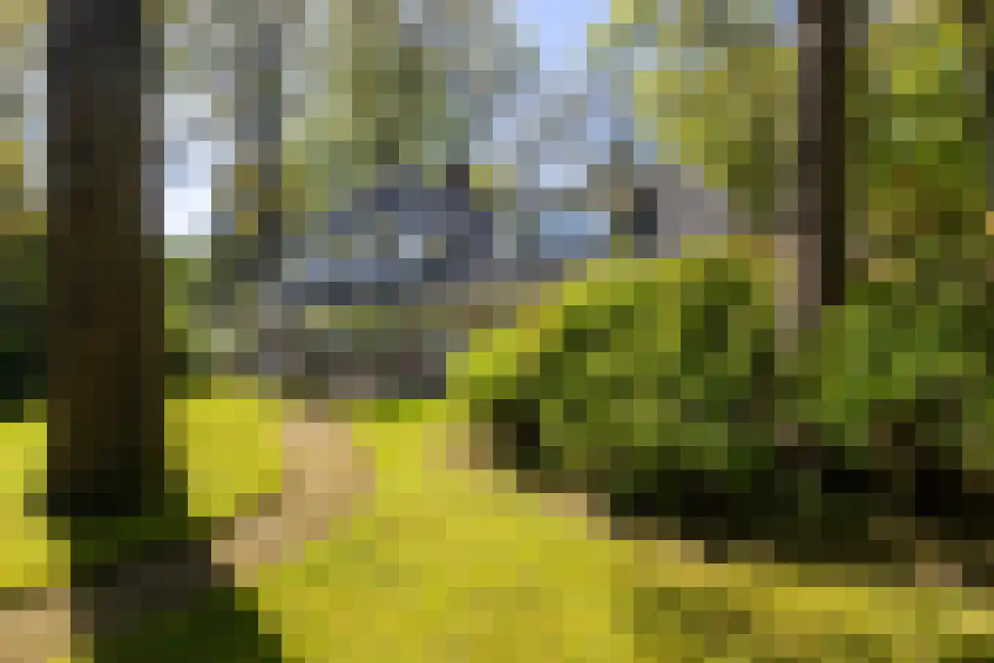 Bruglaan 9 Baarn thumbnail 36