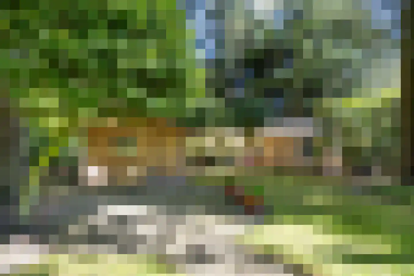 Bruglaan 9 Baarn thumbnail 37