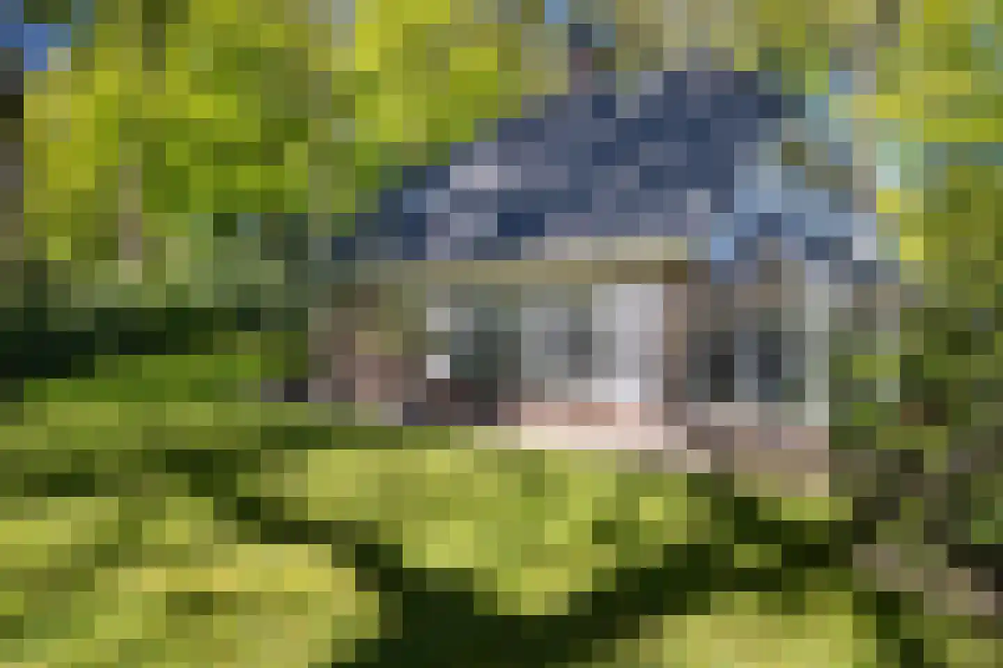 Bruglaan 9 Baarn thumbnail 39