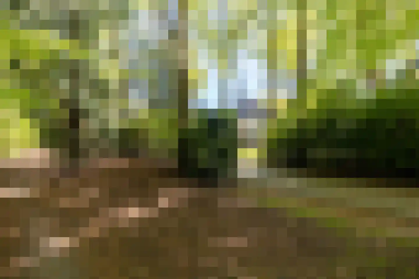 Bruglaan 9 Baarn thumbnail 40
