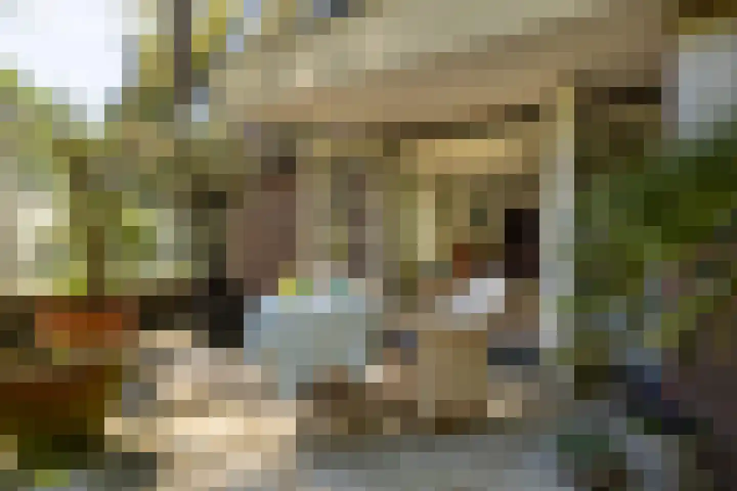 Bruglaan 9 Baarn thumbnail 8